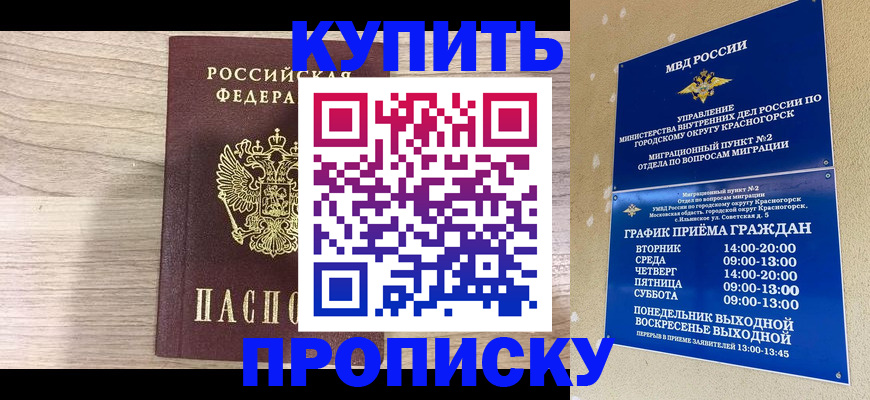 прописка 2025 в Черняховске